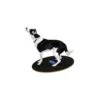 Planche D’équilibre FitPAWS® (FitPAWS® Wobble Board) 2 Planche D’équilibre FitPAWS® (FitPAWS® Wobble Board) -Animalin Boutique planche dequilibre fitpaws fitpaws wobble board