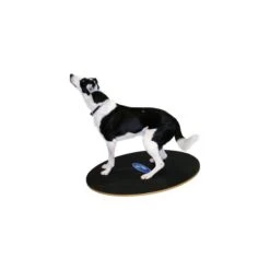 Planche D’équilibre FitPAWS® (FitPAWS® Wobble Board)