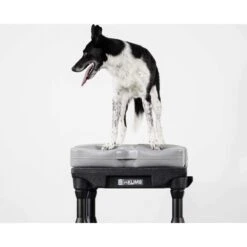 Plate-forme De Proprioception (Blue-9 Propel Air Platform) -Animalin Boutique plate forme de proprioception blue 9 propel air platform 3