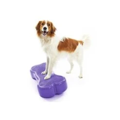 Plate-forme D’équilibre FitPAWS® (6 Couleurs)