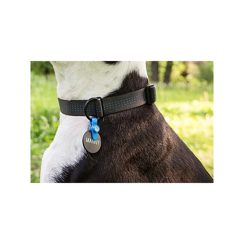 Porte-Médaille Silencieux (FreezeTag Holder) 5 Porte-Médaille Silencieux (FreezeTag Holder) – Image 3