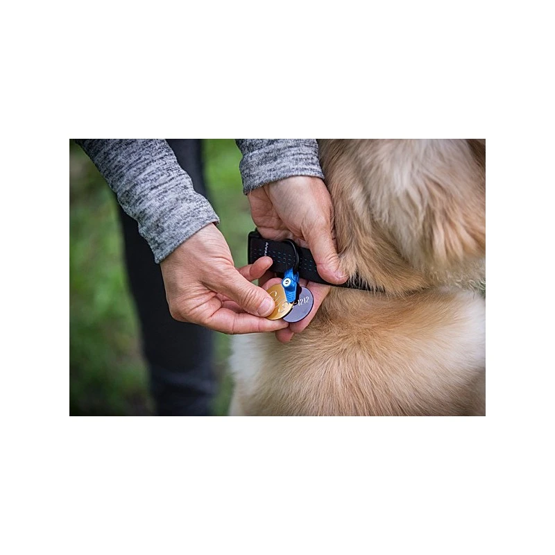 Porte-Médaille Silencieux (FreezeTag Holder) 6 Porte-Médaille Silencieux (FreezeTag Holder) – Image 4