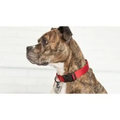 Porte-Médaille Silencieux (FreezeTag Holder) 11 Porte-Médaille Silencieux (FreezeTag Holder) -Animalin Boutique porte medaille silencieux freezetag holder 4