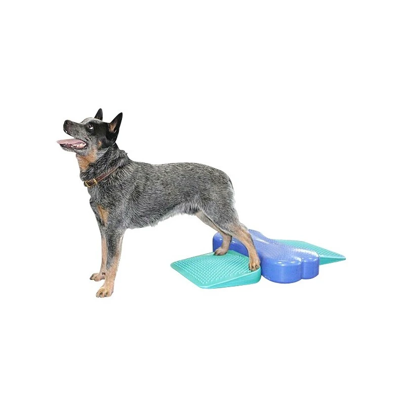 Rampe D’équilibre (FitPAWS® Dog Balance Ramp) 4 Rampe D’équilibre (FitPAWS® Dog Balance Ramp) – Image 2