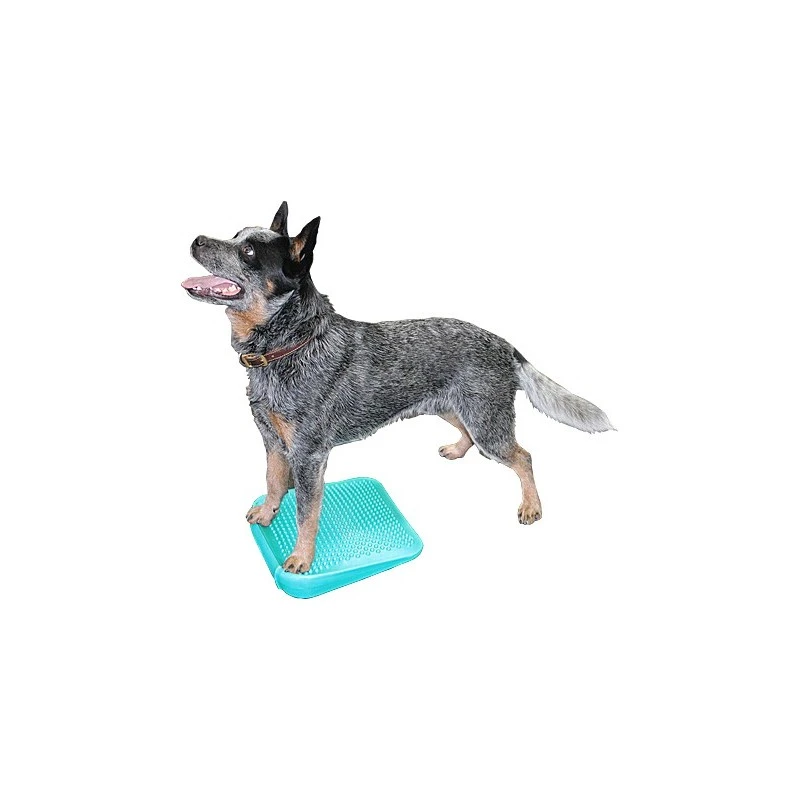 Rampe D’équilibre (FitPAWS® Dog Balance Ramp) 3 Rampe D’équilibre (FitPAWS® Dog Balance Ramp)