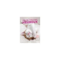 Rendre Son Chat Heureux