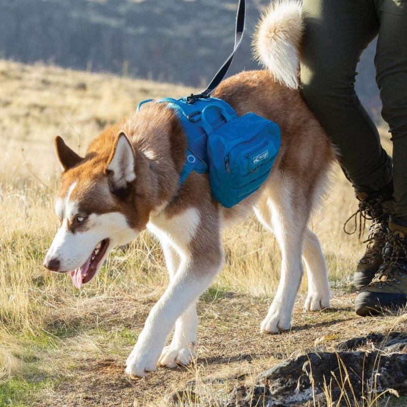 Sacoche Pour Harnais County (Kurgo RSG Pack Pannier) 4 Sacoche Pour Harnais County (Kurgo RSG Pack Pannier) – Image 2