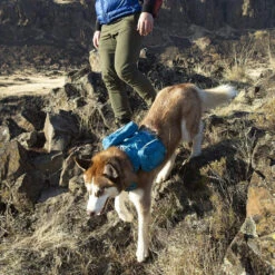 Sacoche Pour Harnais County (Kurgo RSG Pack Pannier) 9 Sacoche Pour Harnais County (Kurgo RSG Pack Pannier) -Animalin Boutique sacoche pour harnais county kurgo rsg pack pannier 3