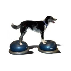 Support FitPAWS® (FitPAWS® Donut Holder)