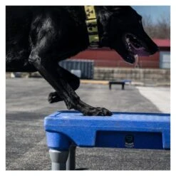 Table De Proprioception (Sports Klimb) 3 Couleurs -Animalin Boutique table de proprioception sports klimb 3 couleurs 3