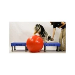 Table De Proprioception (Sports Klimb) 3 Couleurs -Animalin Boutique table de proprioception sports klimb 3 couleurs 7
