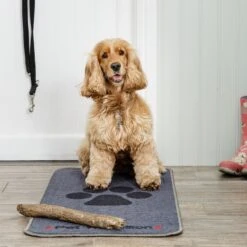 Tapis De Porte (Stop Muddy Paws) 3 Coloris