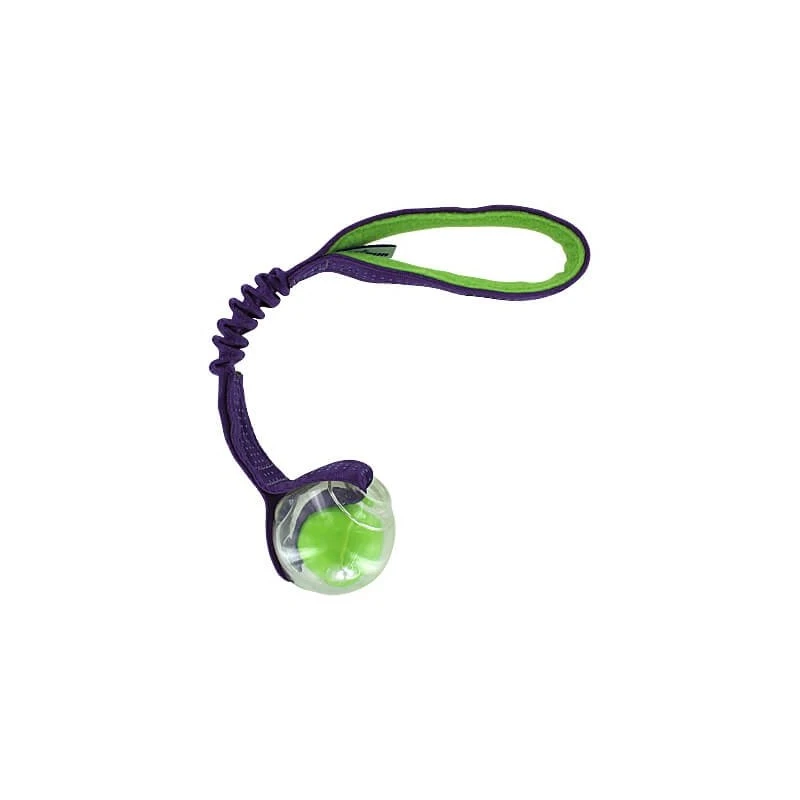 Tug élastique Avec Balle à Sifflet (Squeaker Ball Bungee Tug) 3 Tug élastique Avec Balle à Sifflet (Squeaker Ball Bungee Tug)