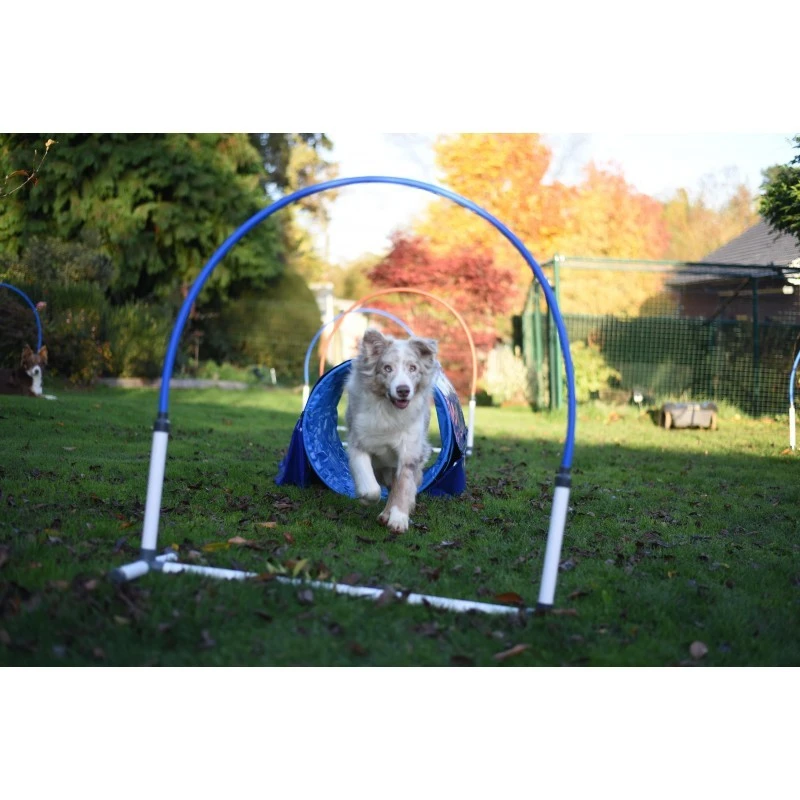Tunnel Compact Hooper Agility Run (L 1 M/diam. 60 Cm) 5 Tunnel Compact Hooper Agility Run (L 1 M/diam. 60 Cm) – Image 3