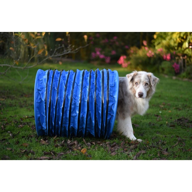 Tunnel Compact Hooper Agility Run (L 1 M/diam. 60 Cm) 6 Tunnel Compact Hooper Agility Run (L 1 M/diam. 60 Cm) – Image 4