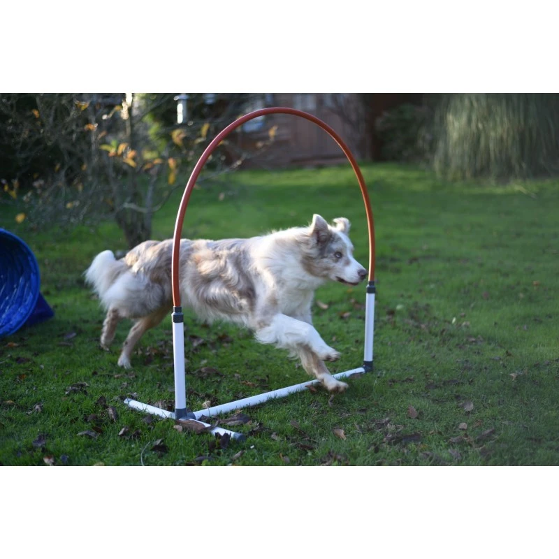 Tunnel Compact Hooper Agility Run (L 1 M/diam. 60 Cm) 7 Tunnel Compact Hooper Agility Run (L 1 M/diam. 60 Cm) – Image 5
