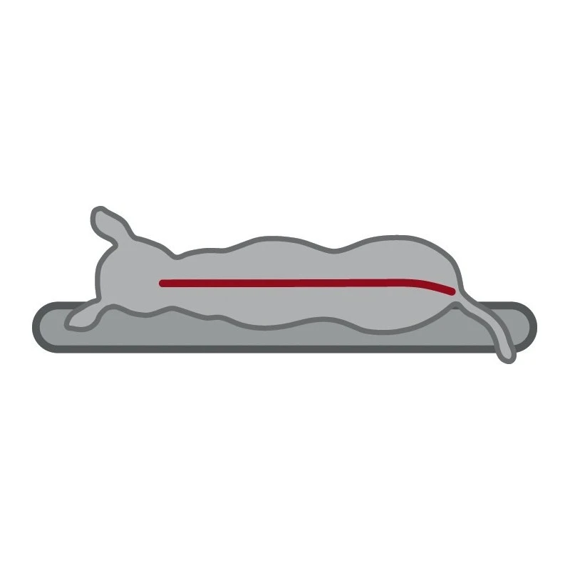 Vital Sofa Bendson à Mémoire De Forme - 2 Tailles 13 Vital Sofa Bendson à Mémoire De Forme - 2 Tailles – Image 11